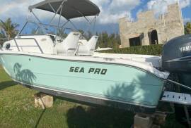 Sold - 2005 20' Sea Pro  Cuddy